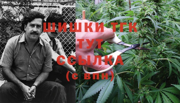 apvp Абинск